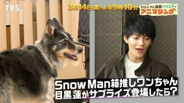 それSnow Manにやらせて下さい』6/14(金) 目黒蓮×大鯛釣り