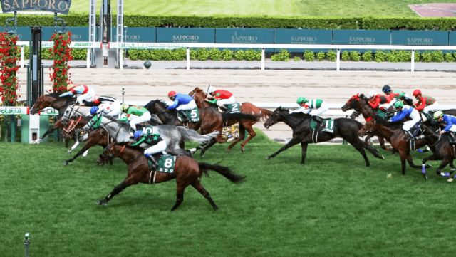 【当選品】函館競馬場　函館2歳S　レプリカゼッケン　ラインパシオン　大江原比呂 函館2歳S】大江原比 新馬V決めたラインパシオンと重賞初騎乗へ