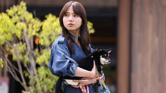 清原果耶×成田凌×ナ・イヌ「初恋DOGs」ポスター解禁！ わんこ発