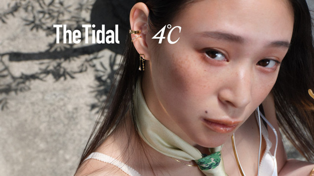 F11 タイダル・タリスマン リヴァイアサン アクセサリー ファイナル