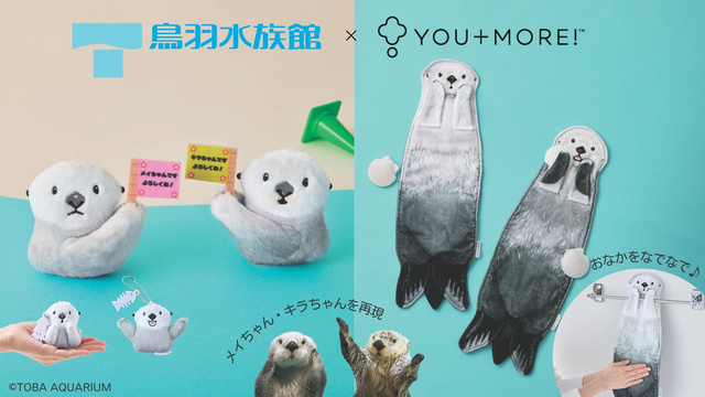 ラッコのメイちゃん＆キラちゃんを再現！鳥羽水族館監修・おなか
