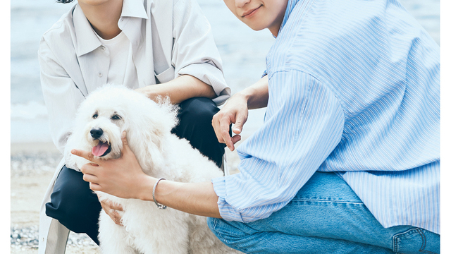 初恋DOGs ポスター 初恋DOGs ポスター - メルカリ