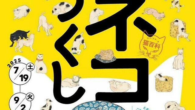 ニードルズ × サスクワッチファブリックスの最新コラボ最新作は