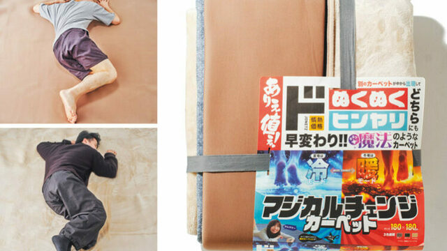 【ドン・キホーテ☆(前編・後編、全4冊)☆】 ドン・キホーテ 綿100％トランクス 前開き Lサイズ DQTR4108