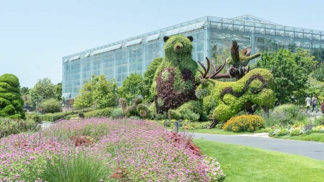 四季折々の花に包まれる「はままつフラワーパーク」で憩いのガーデンタイム | antenna[アンテナ]