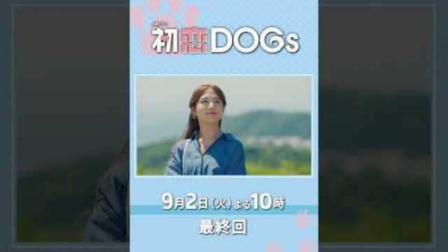 清原果耶×成田凌×ナ・イヌ「初恋DOGs」ポスター解禁！ わんこ発