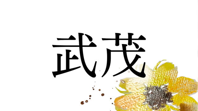 MASATO YAMAGUCHI × REMU SUZUMORI by TOKYO STUPID CARDS WORLD