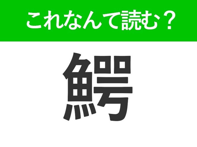 【鰐】はなんて読む？ある生き物の名前を表す言葉 | antenna[アンテナ]