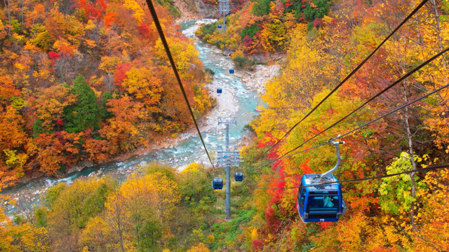 Chasing Autumn Colors: 6 Elegant Hotels Near Fall Foliage Spots ...