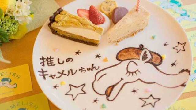 東京｜推し活におすすめ！推しの誕生日や記念日をかわいく祝えるメッセージプレート付きレストラン＆カフェ5選 | antenna[アンテナ]