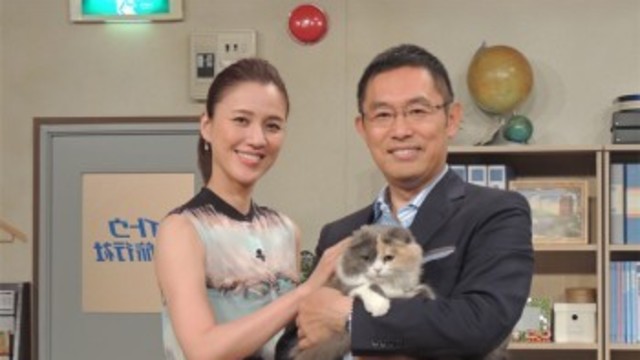 猫のリコちゃんが ナイトウ旅行社 の宣伝部長に 内藤剛志が タレントとして稼げる と太鼓判 Antenna アンテナ