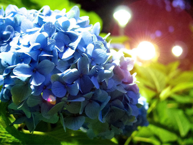 3364595 1 full 1e4cc4f1 d6f4 467c 9439 6549adb51612 nhweyufpctll0tux54agy5jwzoiypxqn