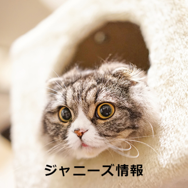 5338158 full b0792a93 1059 4037 9493 cf00c36df18d