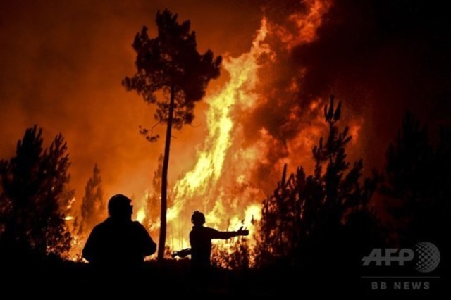 ポルトガルで森林火災 住民00人の村が孤立状態に Antenna アンテナ