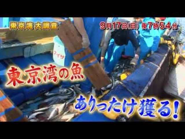 日曜ビッグバラエティ 東京湾大調査 お魚ぜんぶ獲ってみた 深海500ｍカメラ仕掛けたら Antenna アンテナ