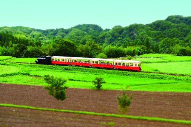5499609 full 25a16651 9219 4664 b9bb 8ed223f421f4