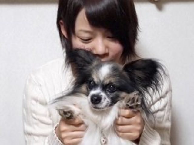 金メダリストを支えるパピヨンがかわいすぎ スピードスケート高木菜那選手が愛犬を紹介 Antenna アンテナ
