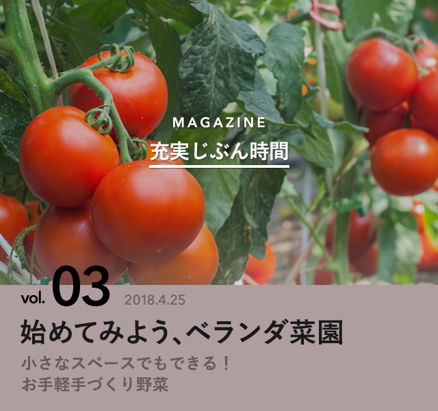 6474917 full 595ad94b fd21 40c1 b56b 9dab4b671f79