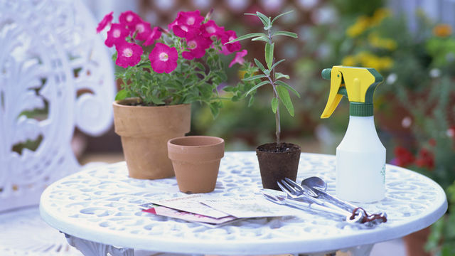3号ポットのサイズはどれくらい 鉢の大きさ 土の容量の測り方 Antenna アンテナ