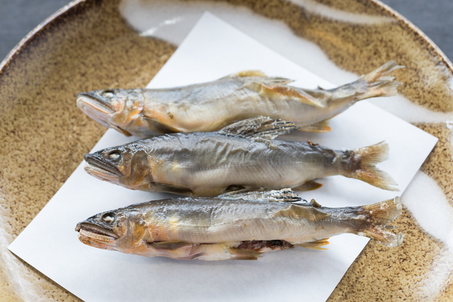 今日17 30 週末は 鮎釣り へ出掛けてみませんか 初心者でも始められる鮎釣り入門 Antenna アンテナ