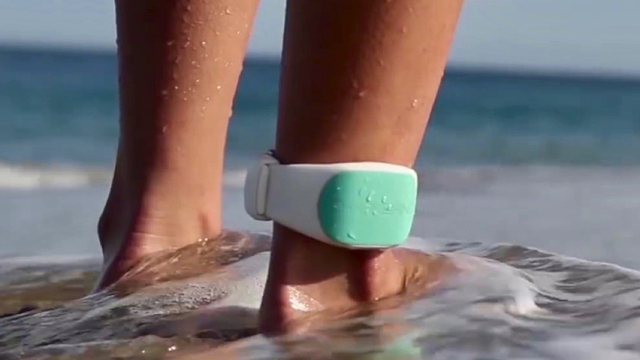 噛まれた グレートバリアリーフで流血事件 犯人は 身近な魚 被害者は サメ だと主張するが Antenna アンテナ