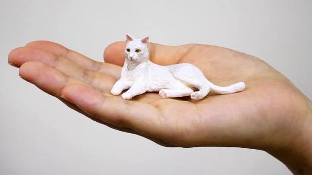 リアルな可動域を実現した 球体関節猫フィギュア Antenna アンテナ