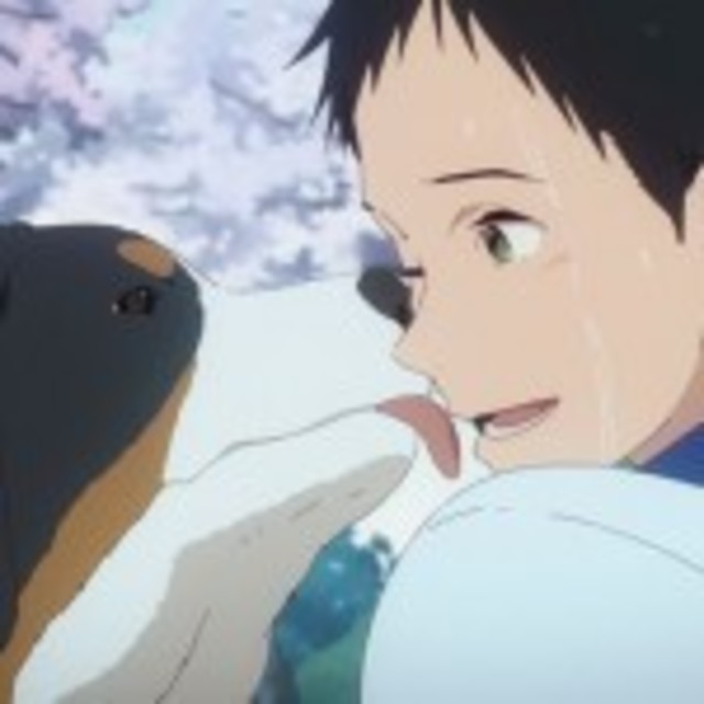 Tvアニメ ツルネ 上村祐翔さん 市川 蒼さんインタビュー ここからふたりの関係に少し変化が出てくるので注目してください Antenna アンテナ