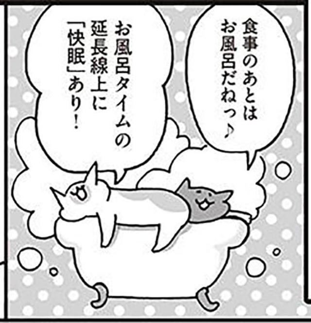 深部体温って しっかりお風呂に入って睡眠上手になろう ねこ先生に教わるぐっすり睡眠法 13 毎週火曜日連載 Antenna アンテナ