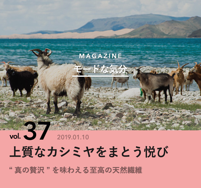 7654614 full cf6b571f 9dbb 49ab 991f 1471179e4482