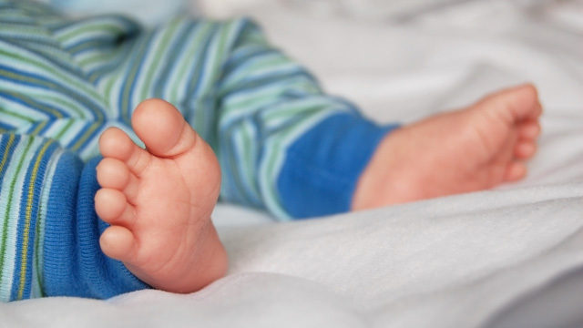 子どもの手形や足形をアレンジしてアート作品に つくり方の手順やコツを紹介 Antenna アンテナ