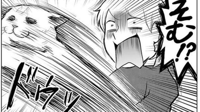 めっちゃタレ目になるうちのねこが可愛すぎるんじゃ タレ目猫そむ 1 連載 Antenna アンテナ