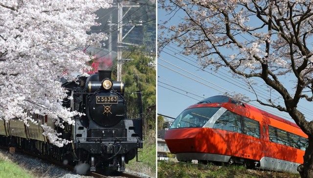 7970855 full d27a5569 fc41 4e70 88c5 2eb6d41dd719