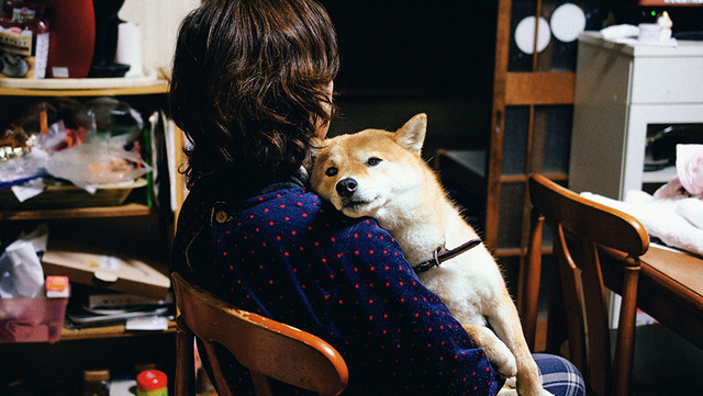 犬の寝顔を見て思うこと 穴澤賢の犬のはなし Antenna アンテナ