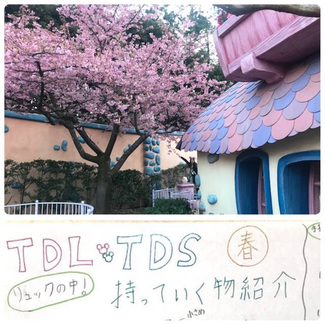 春ディズニー バッグの中身 Antenna アンテナ