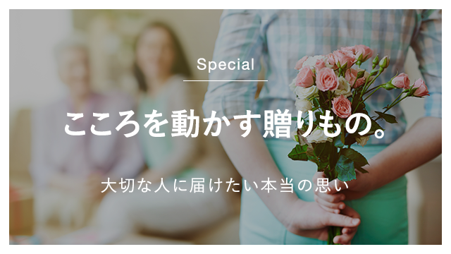 8113288 full 786f9d7a b2cb 4fbf 87e5 5512492f87ae