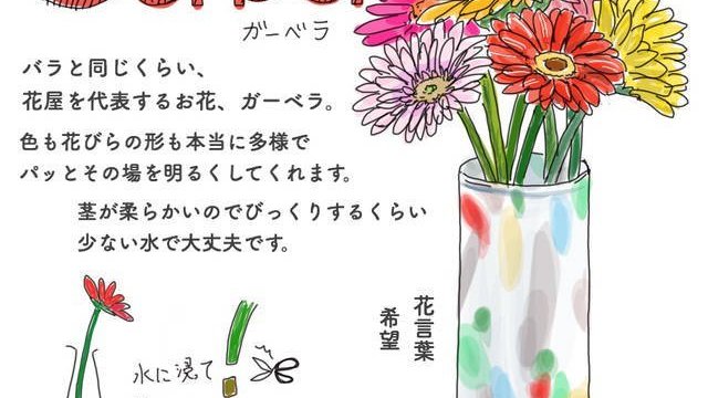 100均アイテムで花を染めてみよう 夏休みの自由研究にも 子どもと楽しむ切り花染色 Antenna アンテナ