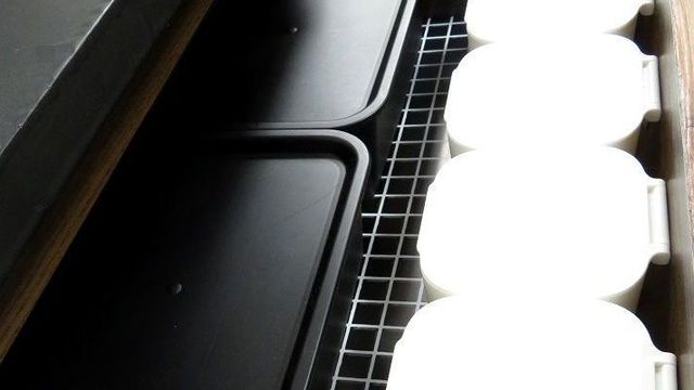 流せるトイレブラシの収納におすすめ セリアの収納ケース Antenna アンテナ