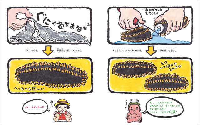 じつはすごい ナマコの生態を徹底解剖 ナマコ天国 ナマコ研究40年