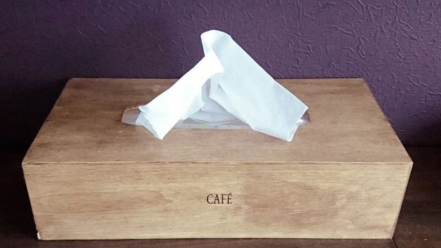 100均のティッシュケースをリメイク Antenna アンテナ