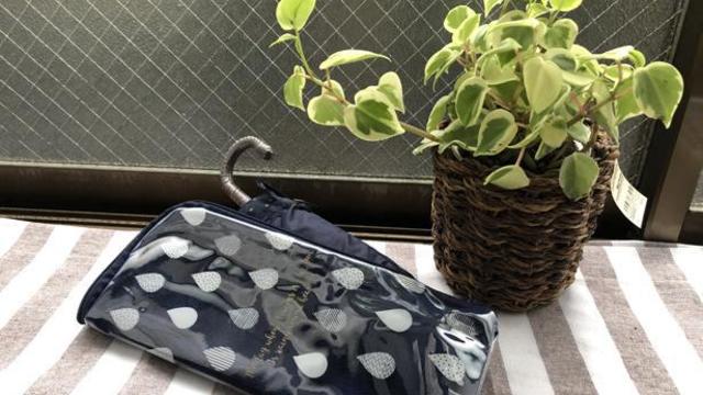 もっと早く買っておけば 自分のバカ 折りたたみ傘は 3coins 傘ポーチなくしては持ち歩けない Antenna アンテナ