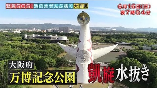 ロンブー淳がガチで半泣き 見えない敵 超危険生物カミツキガメに身一つで立ち向かう 緊急sos 池の水ぜんぶ抜く大作戦 地獄の水路で大量捕獲 巨大怪獣デカガメラ Antenna アンテナ
