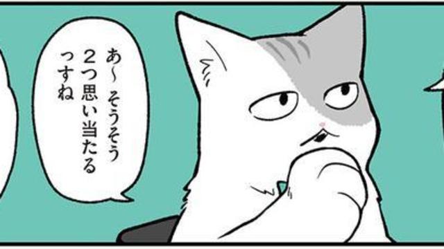 モフ田くんと人 ブラック企業の社員が猫になって人生が変わった話 モフ田くんの場合 5 連載 Antenna アンテナ