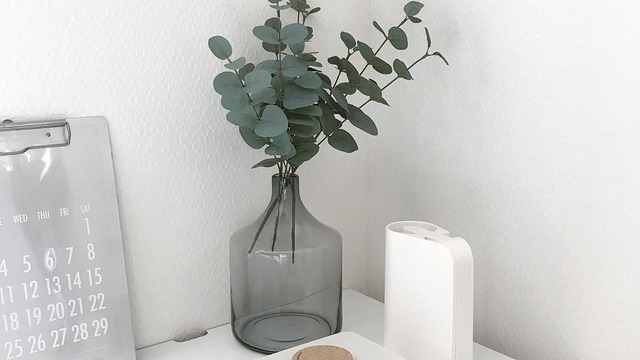 西松屋の上履きは子どもの成長に合わせて手軽に買えて楽しめる Antenna アンテナ