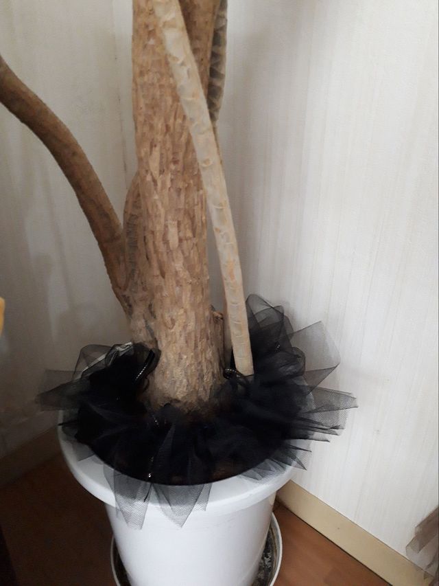 観葉植物の土隠し Antenna アンテナ