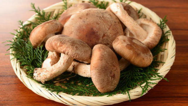 しいたけ についている白い粉はカビではない Antenna アンテナ