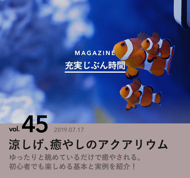 8972441 full ed6688c3 d84b 42ad b92e 4d45aa746fd6