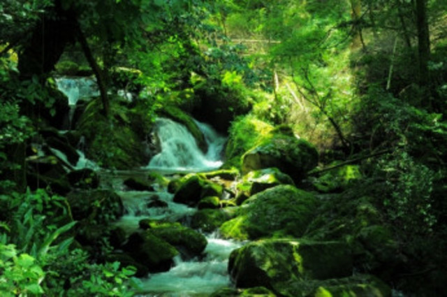 全文公開 遠野物語 マヨヒガ の二次創作 マヨイガ Antenna アンテナ