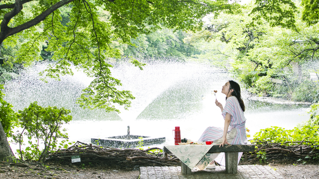 涼しくなって公園にピクニックいかがですか JAPAN AIRLINES【JAL】 on X: 