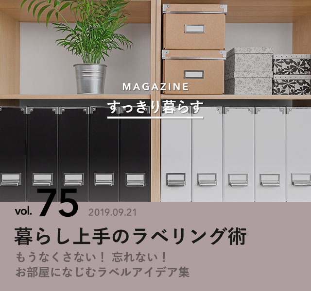 9060667 full 3ddf04c7 d6d5 4d11 9a77 51f46bd83343