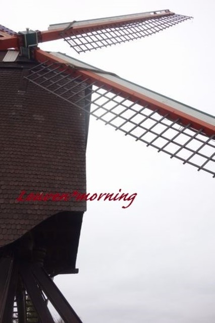 906739 1 full a599b20f eaed 42eb 9e2e e9cec47a4f03 ccvqqcfnrlj5bqbotudrdoeejgya174b